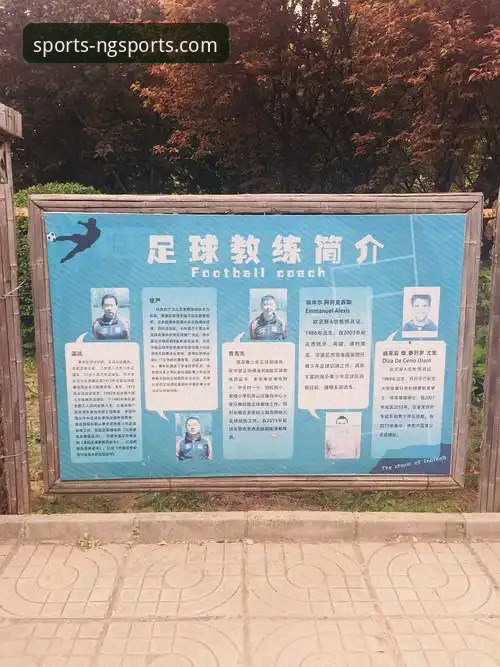 南宫体育网页版使用教程：从下载到深度数据解析的全流程指南