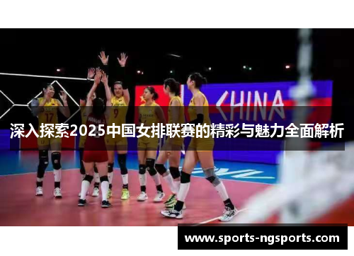 深入探索2025中国女排联赛的精彩与魅力全面解析